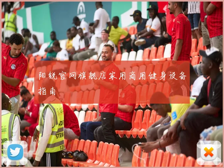 阳锐官网旗舰店家用商用健身设备指南