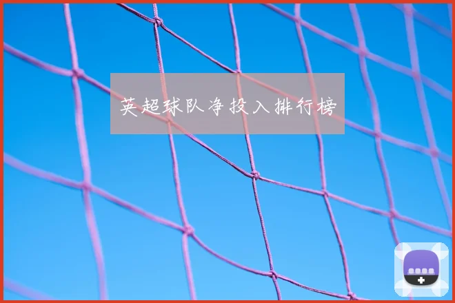 英超球队净投入排行榜