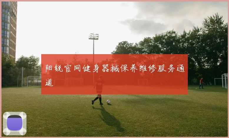 阳锐官网健身器械保养维修服务通道